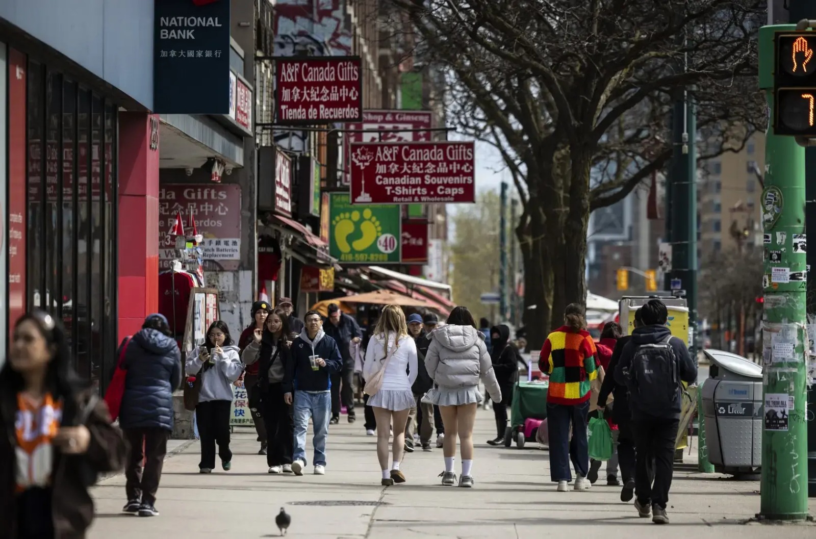 Beyond the Numbers: Building a Smarter Immigration System for Canada’s Future