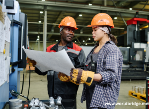 Beyond Visas: How Talent and Workforce Mobility Drive Modern Economic Growth