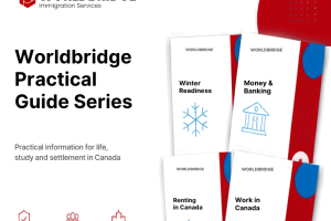 More Than Information: Introducing the Worldbridge Practical Guide Series