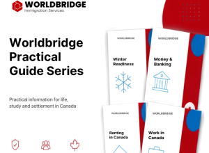 More Than Information: Introducing the Worldbridge Practical Guide Series