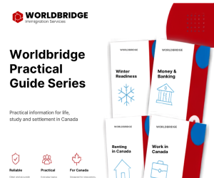 More Than Information: Introducing the Worldbridge Practical Guide Series