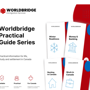 More Than Information: Introducing the Worldbridge Practical Guide Series