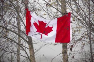 Moving to Canada: Practical Information on Settling In