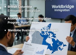 Which Provincial Nominee Programs Are Currently the Strongest for Entrepreneurs? 2026 Real-World Ranking & Comparison