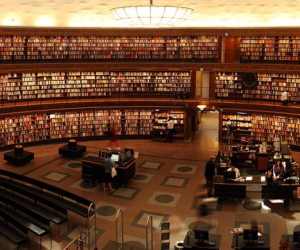 IRCC Freezes PGWP-Eligible Fields of Study List for 2026: Providing Stability for International Students