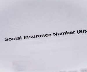 The phrase Social Insurance Number (SIN) on a document.