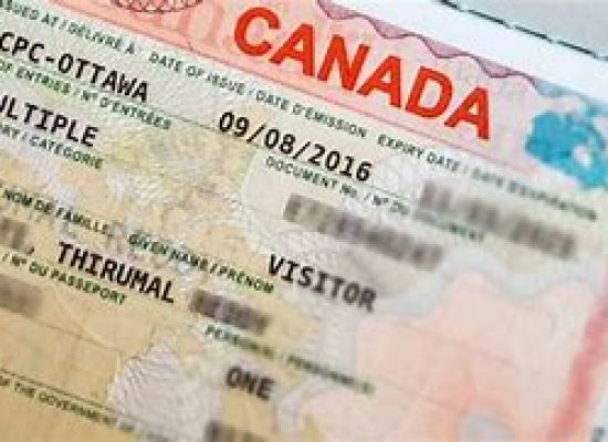 freelancefushion.org