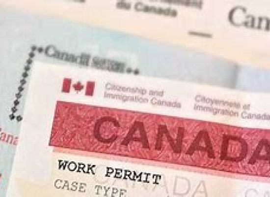 source:live-immi.com